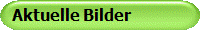 Aktuelle Bilder